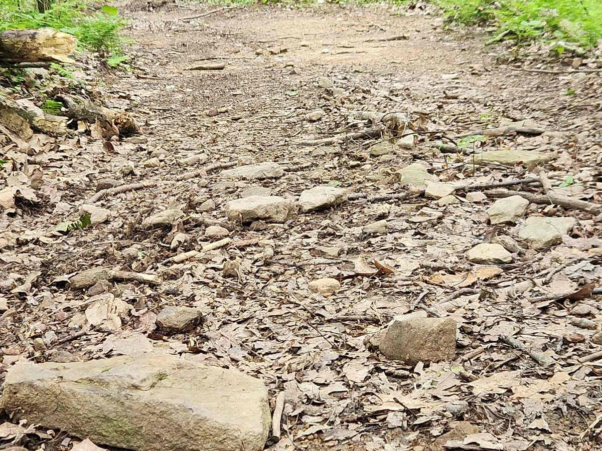 Trail 2A - Black - Rock Run Recreation Area photo 6