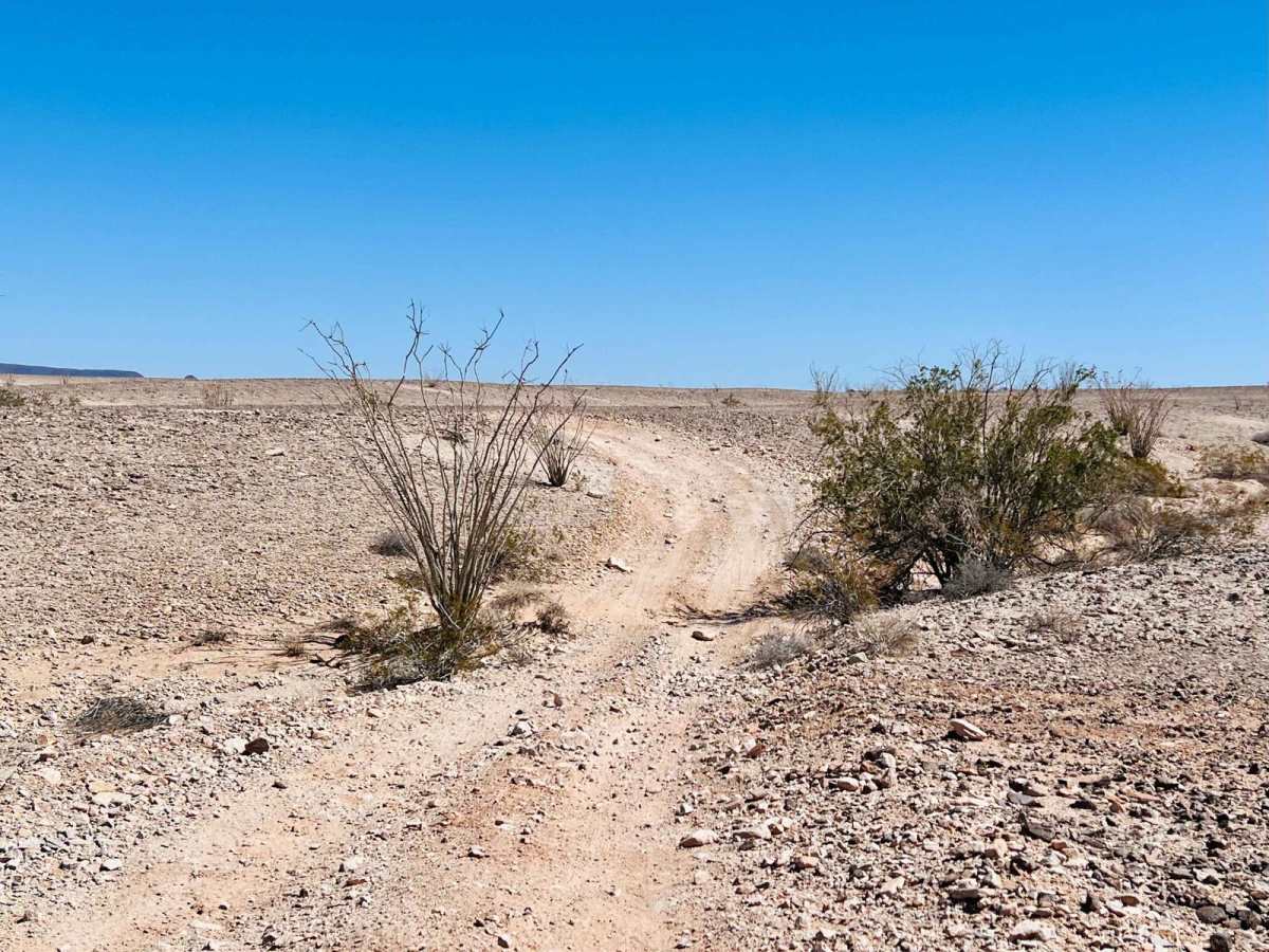 Desert Loop 660 photo 2