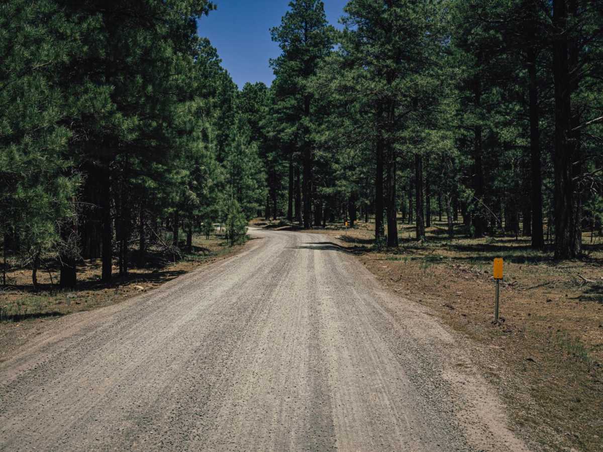 Frenchy Springs Road photo 3