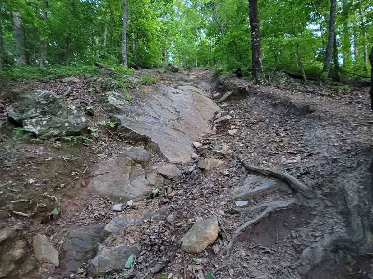 Hammer Down trail photo
