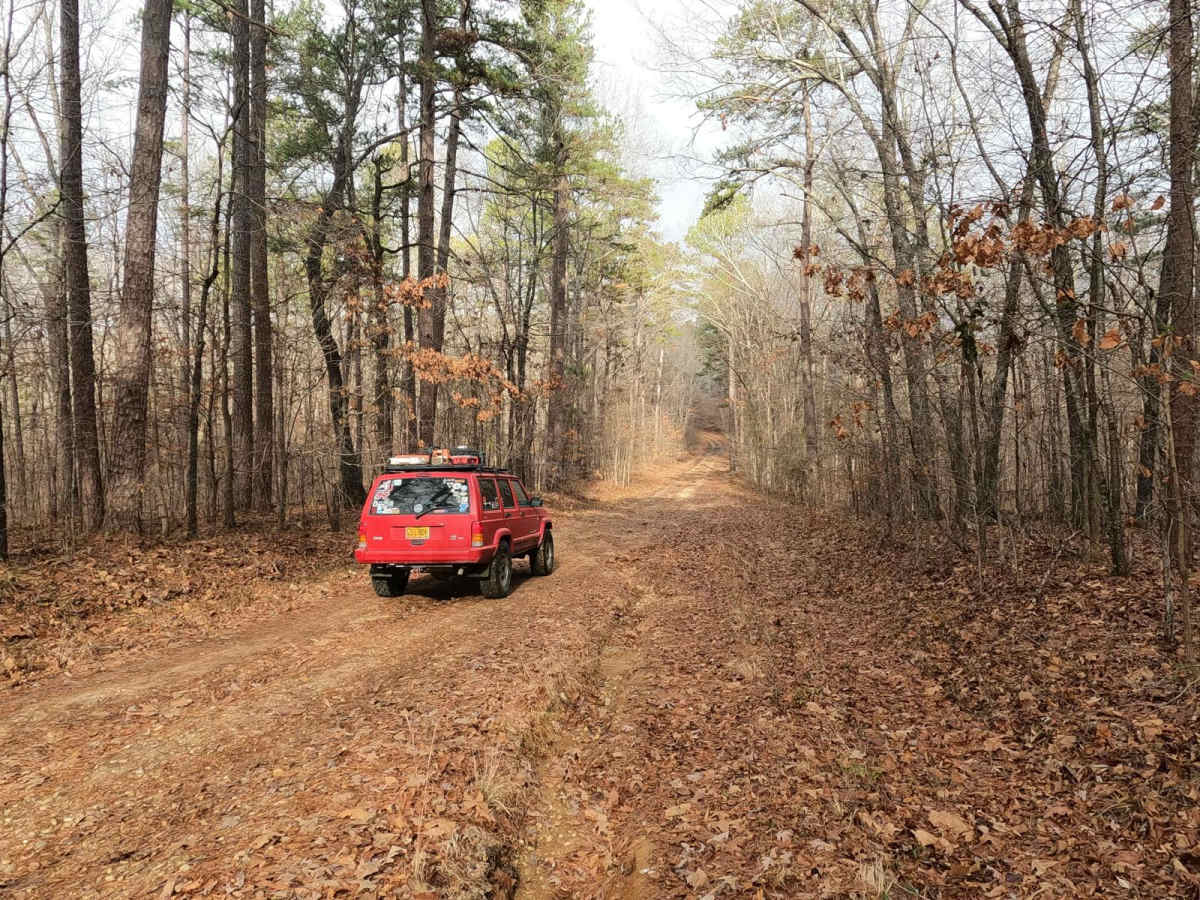 Vickers Ridge Road - FS 336 trail photo