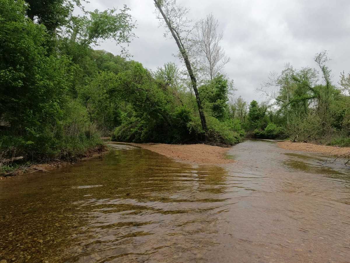 Hackworth Hollow Trail photo 6