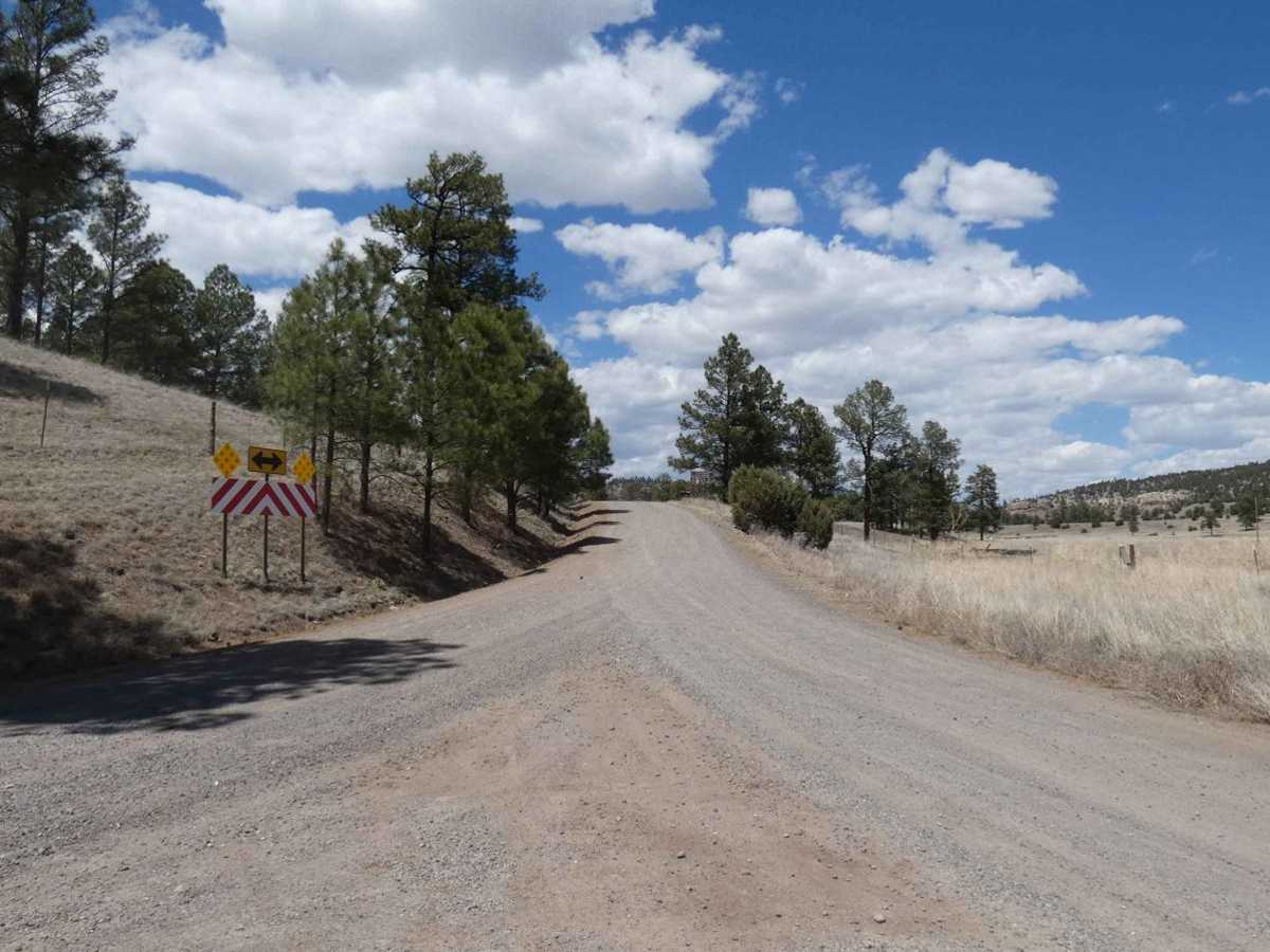North Star - Chloride to O-Bar-O trail photo