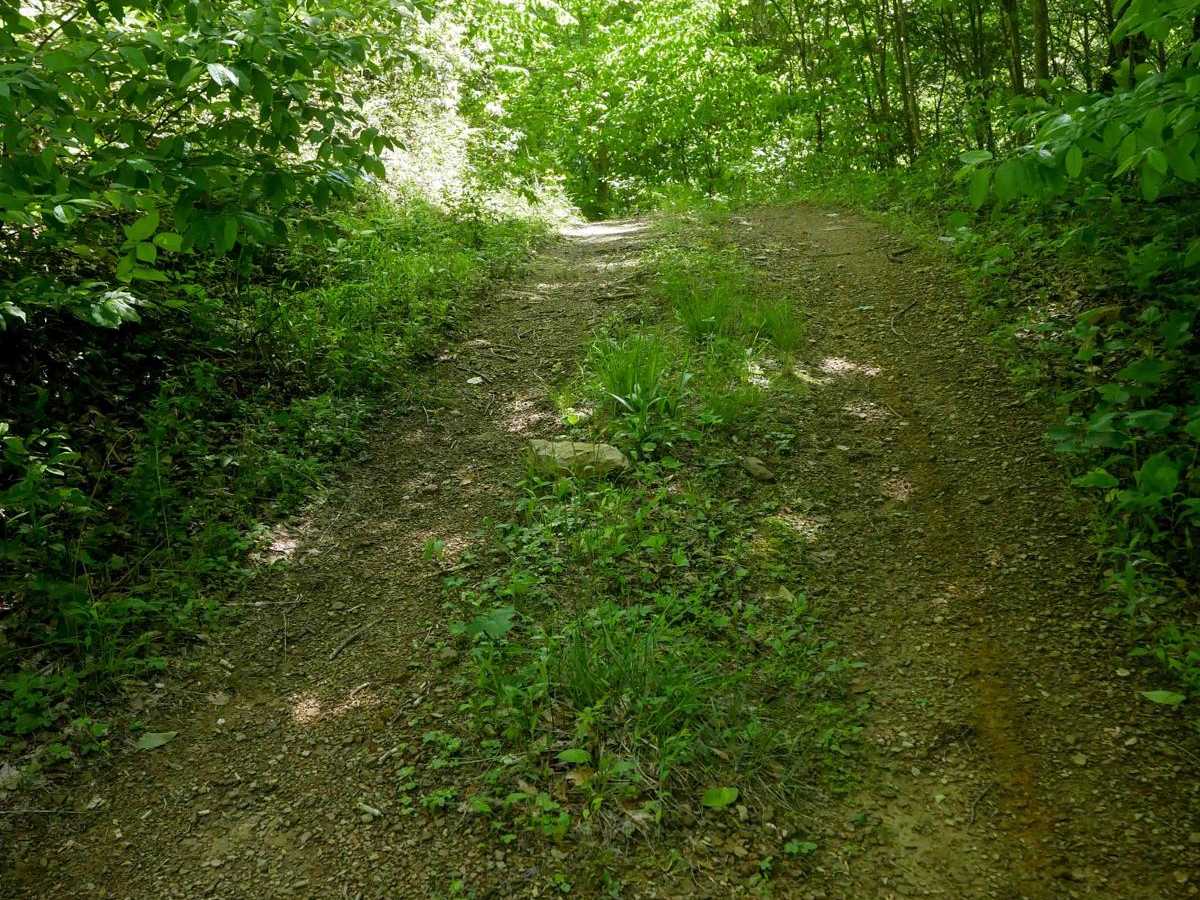 RV57 photo 2