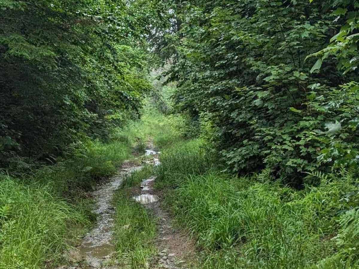 Coac Shortcut photo 4