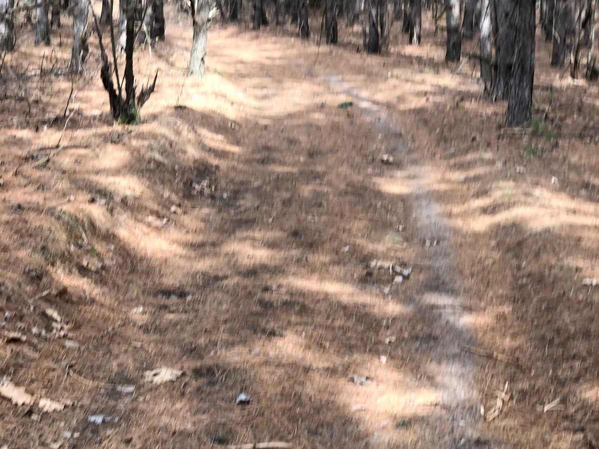 NFS Road 9453 photo 5