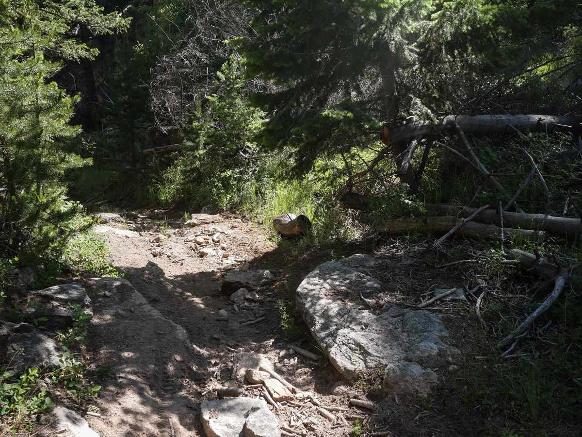 Lion Gulch photo 2