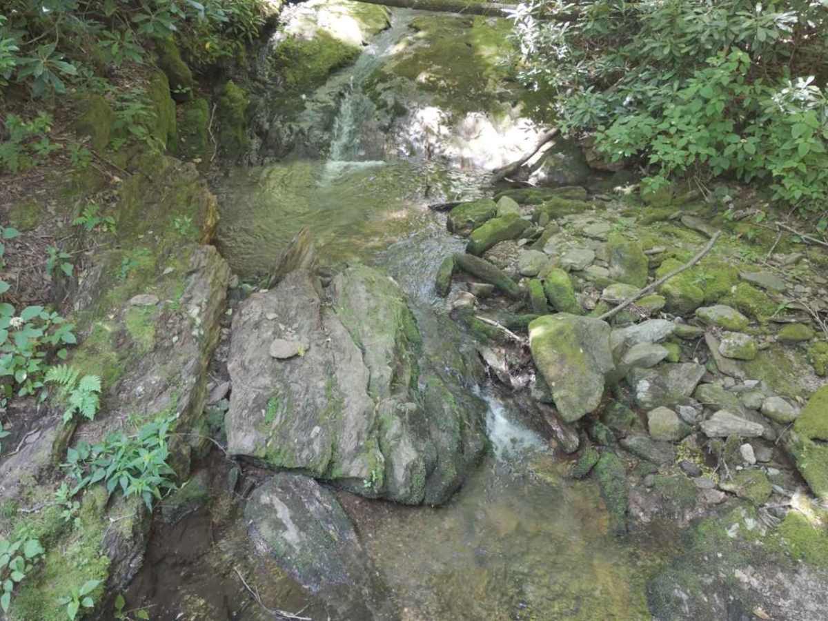 South Toe River photo 3