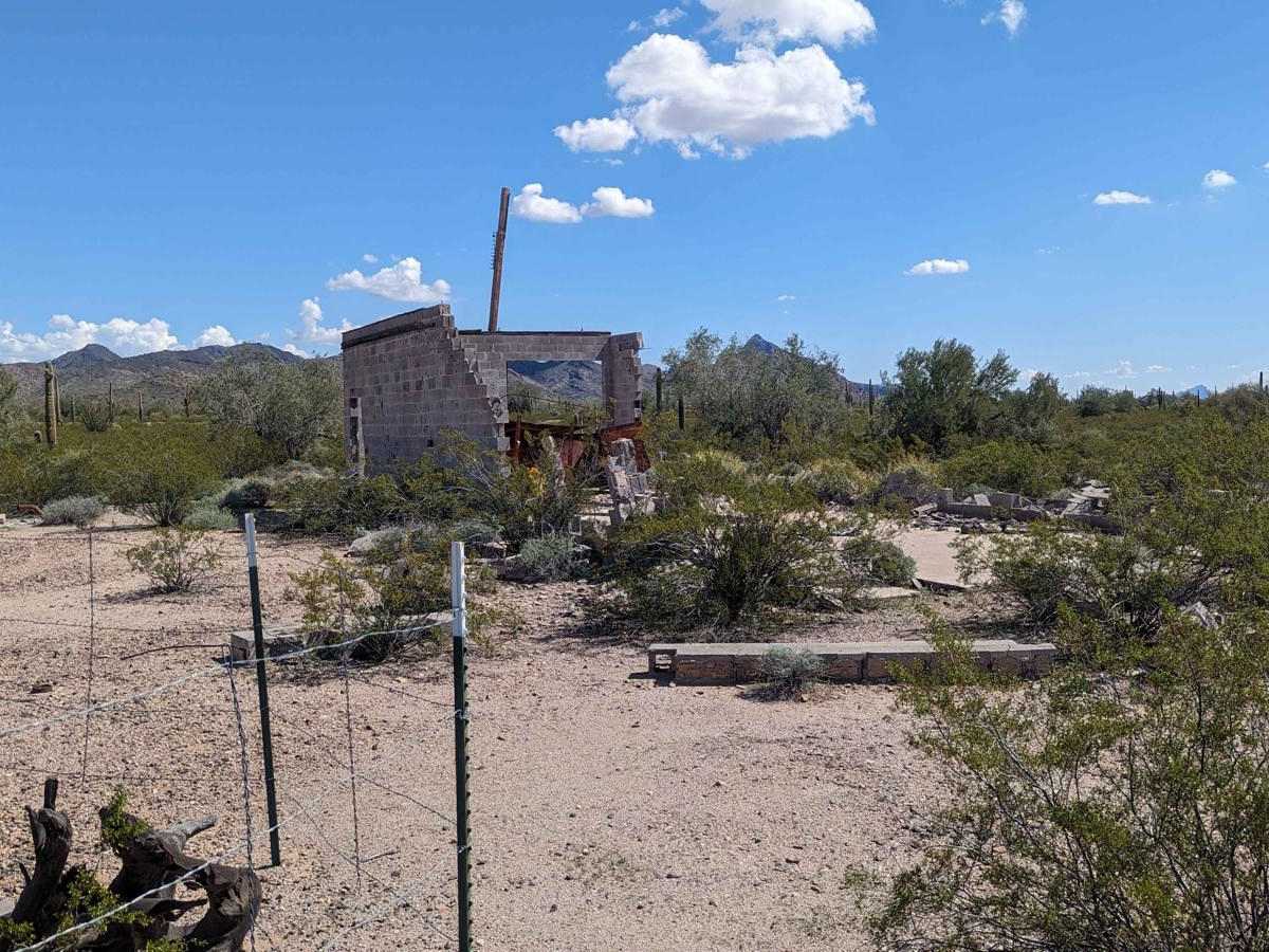 Cattle Cactus Crawl photo 5