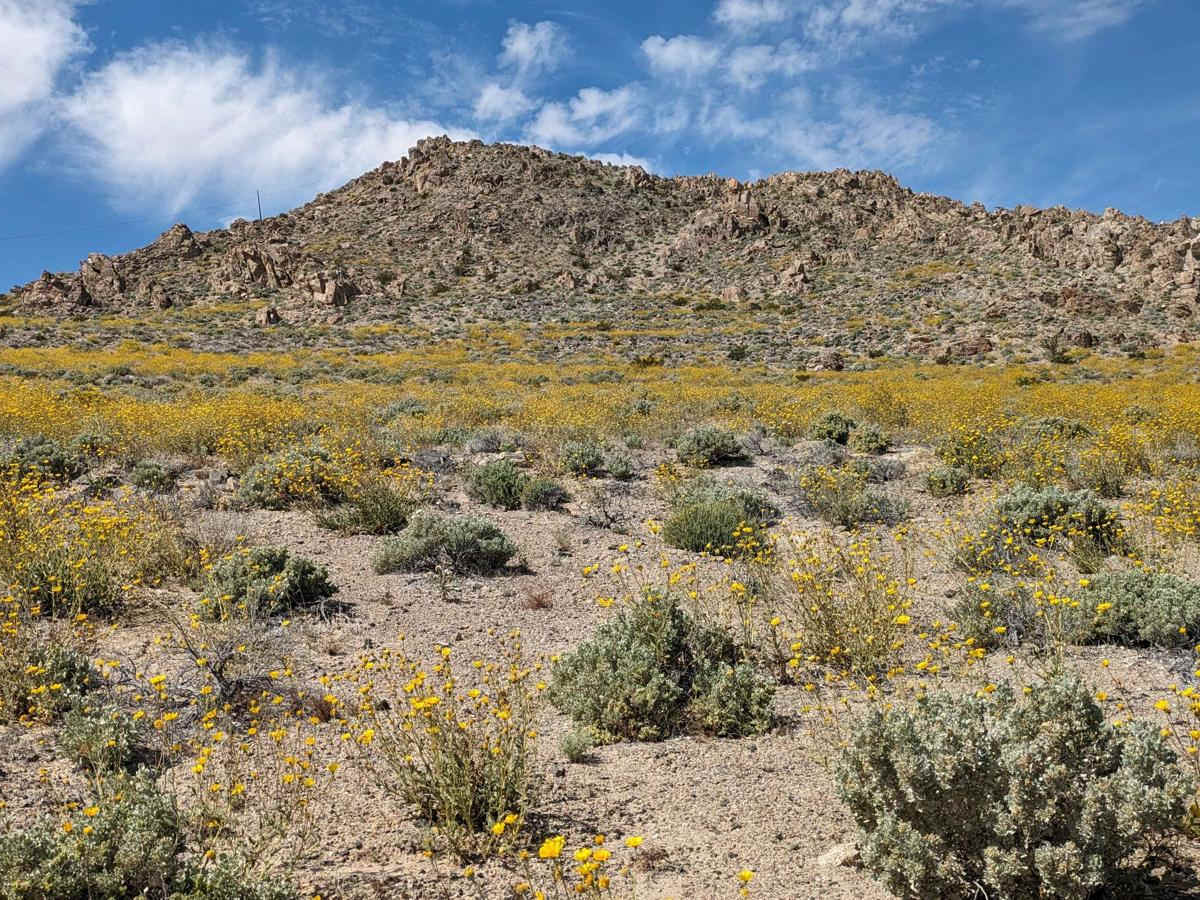 Searles Valley Mineral Operations to 178 photo 6