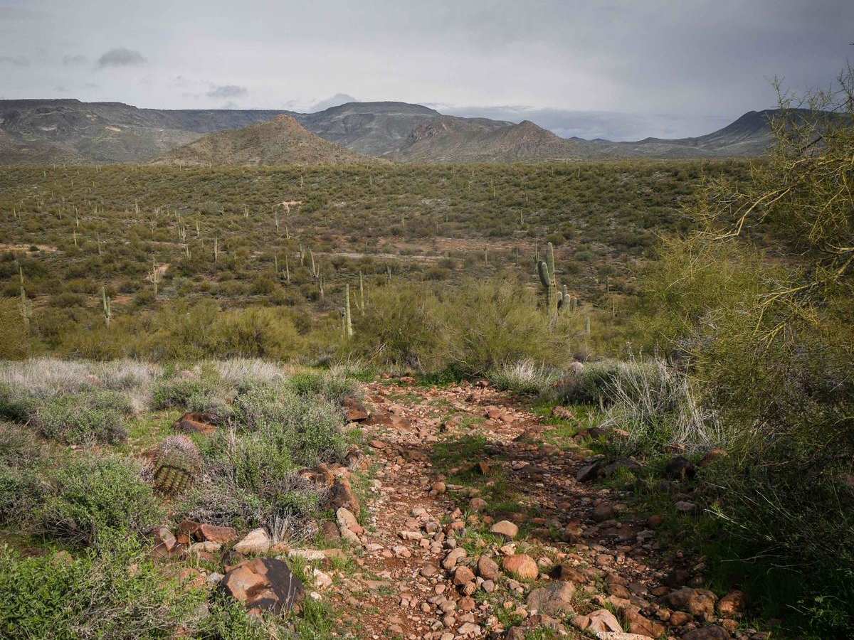 Shoemaker Spring Access Trail trail photo