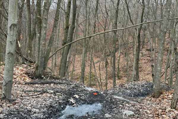 Locust Gap Single Track 3