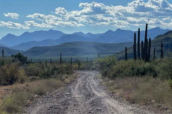 To Mulege Back Farms