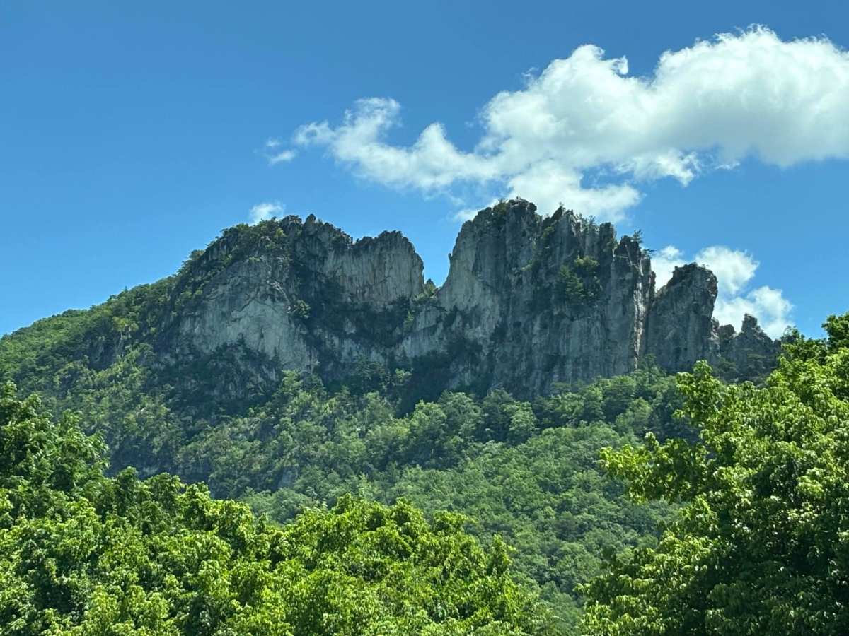 Owl Knob Hollow trail photo