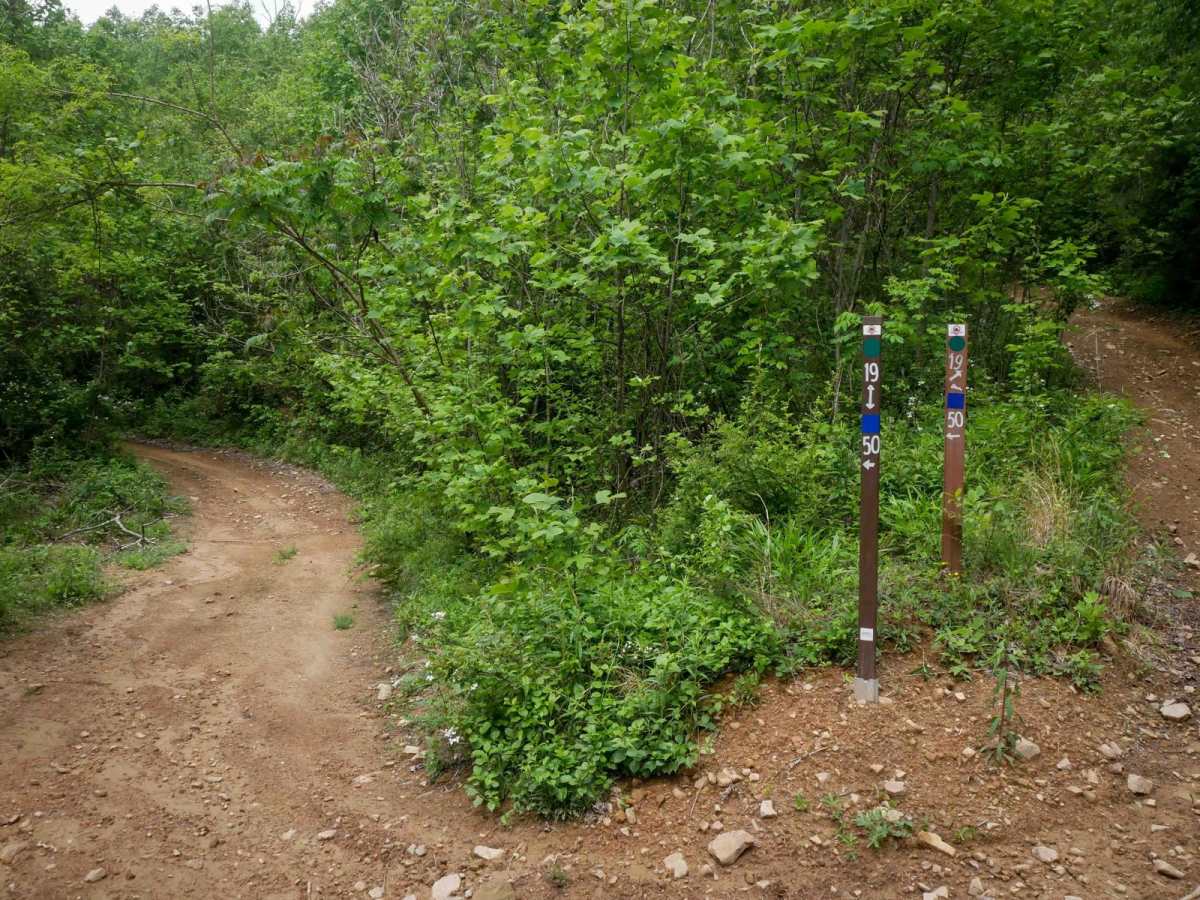 19 Connector trail photo
