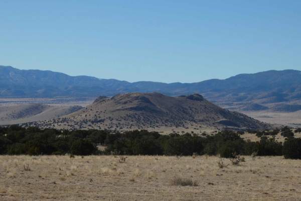 Muleshoe
