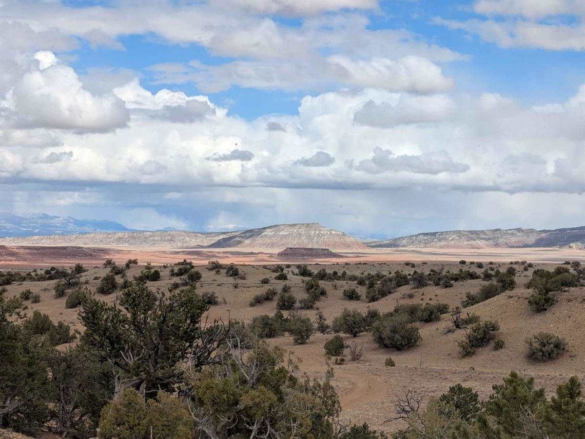 Wedge Overlook Loop 2 (3519) photo 3