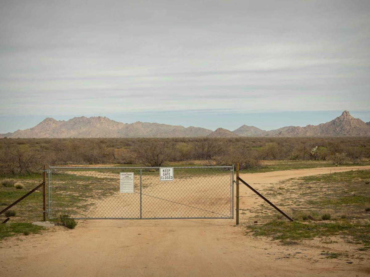 Braid Camp trail photo