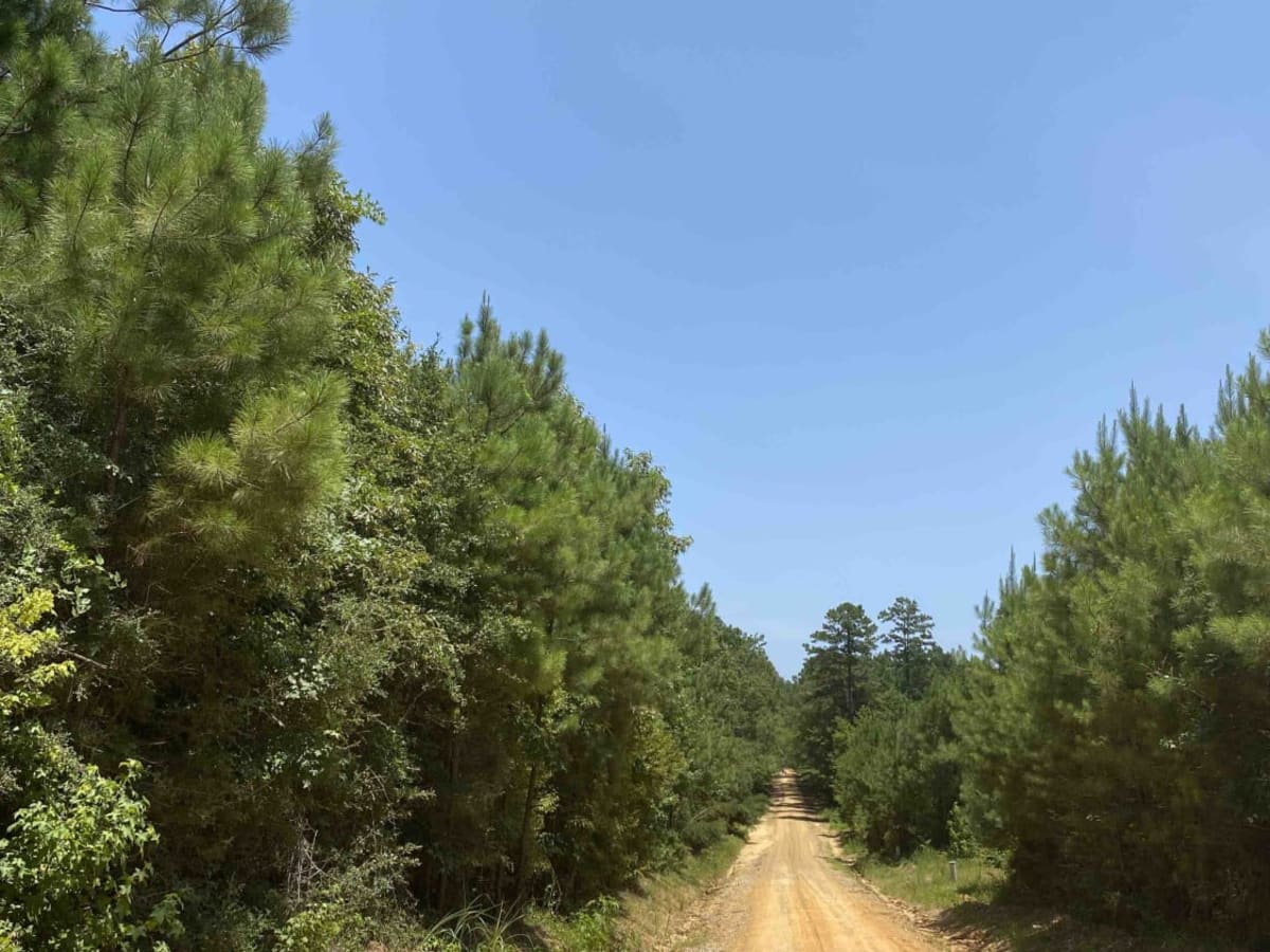Jake Creel Road photo 4