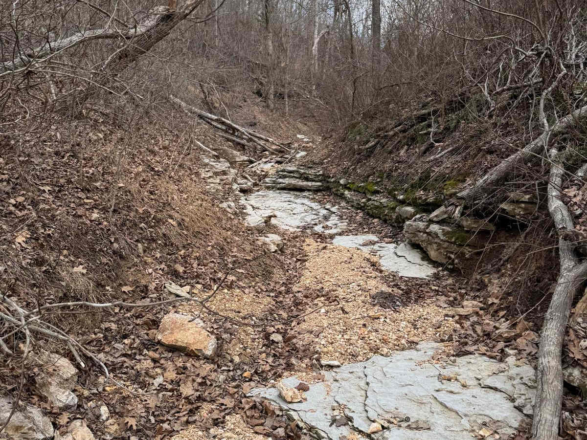 Chicken Trail 439 photo 5