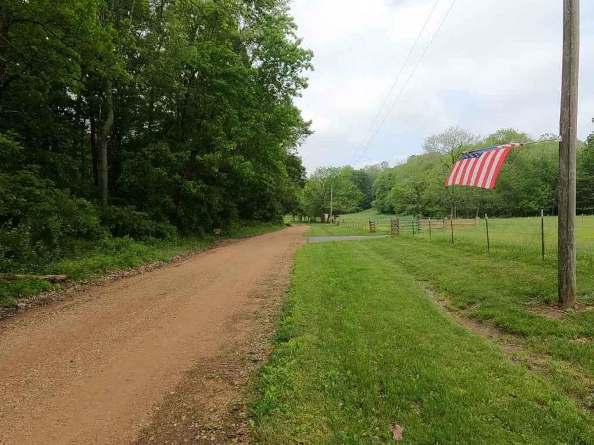 Reynolds Ford Road photo 6