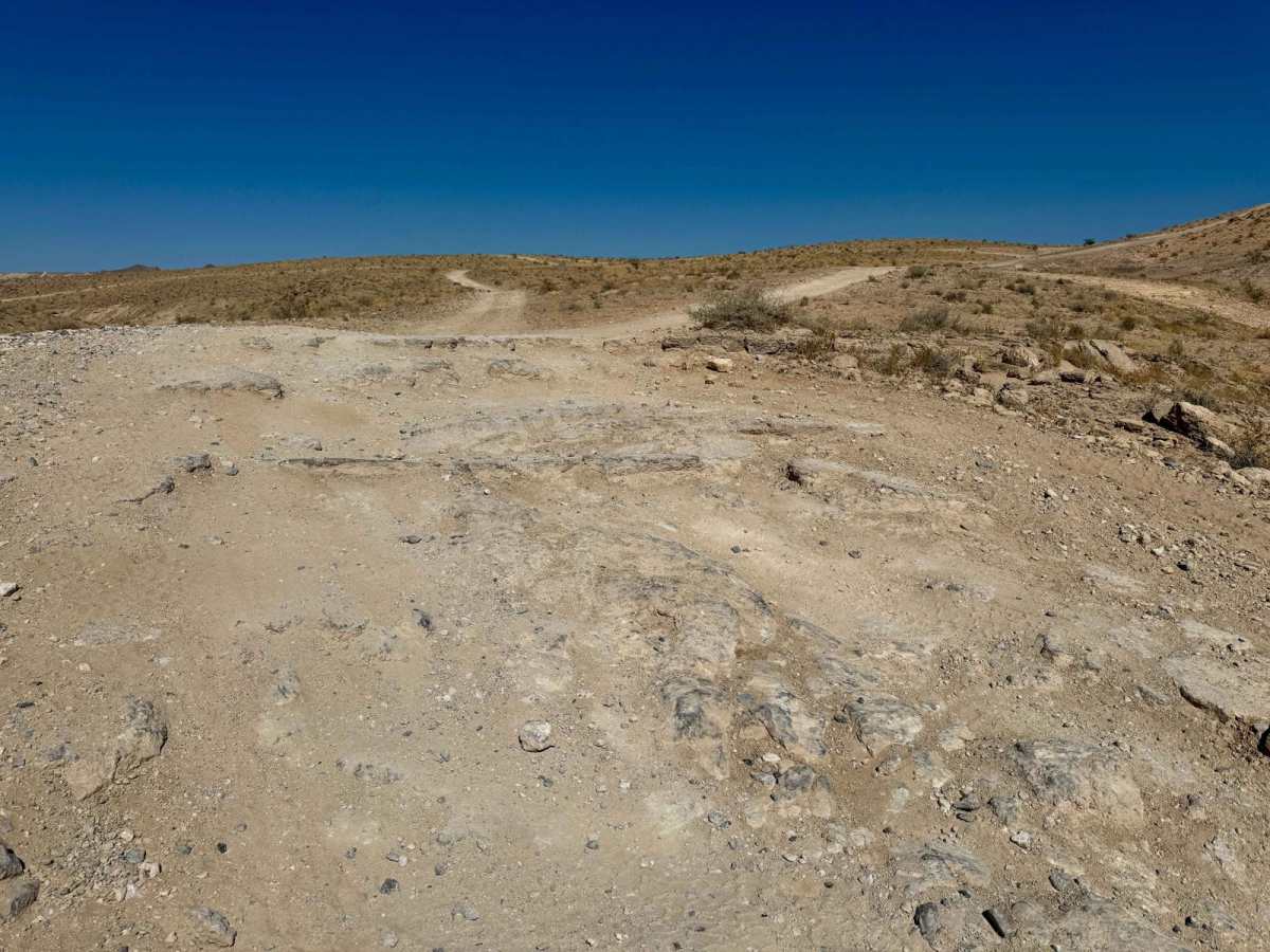Nellis Bypass to Vegas View Ridge photo 5