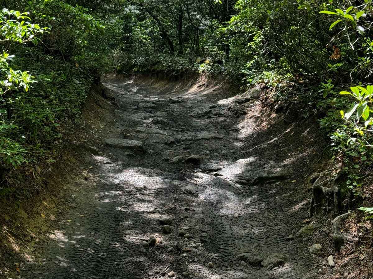 Brown Mountain Trail 8 photo 3