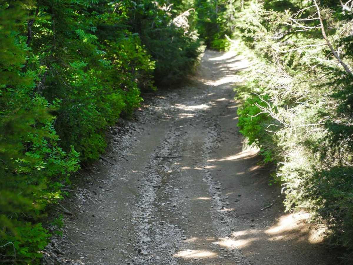 Lake Elsie Ridge ATV photo 3