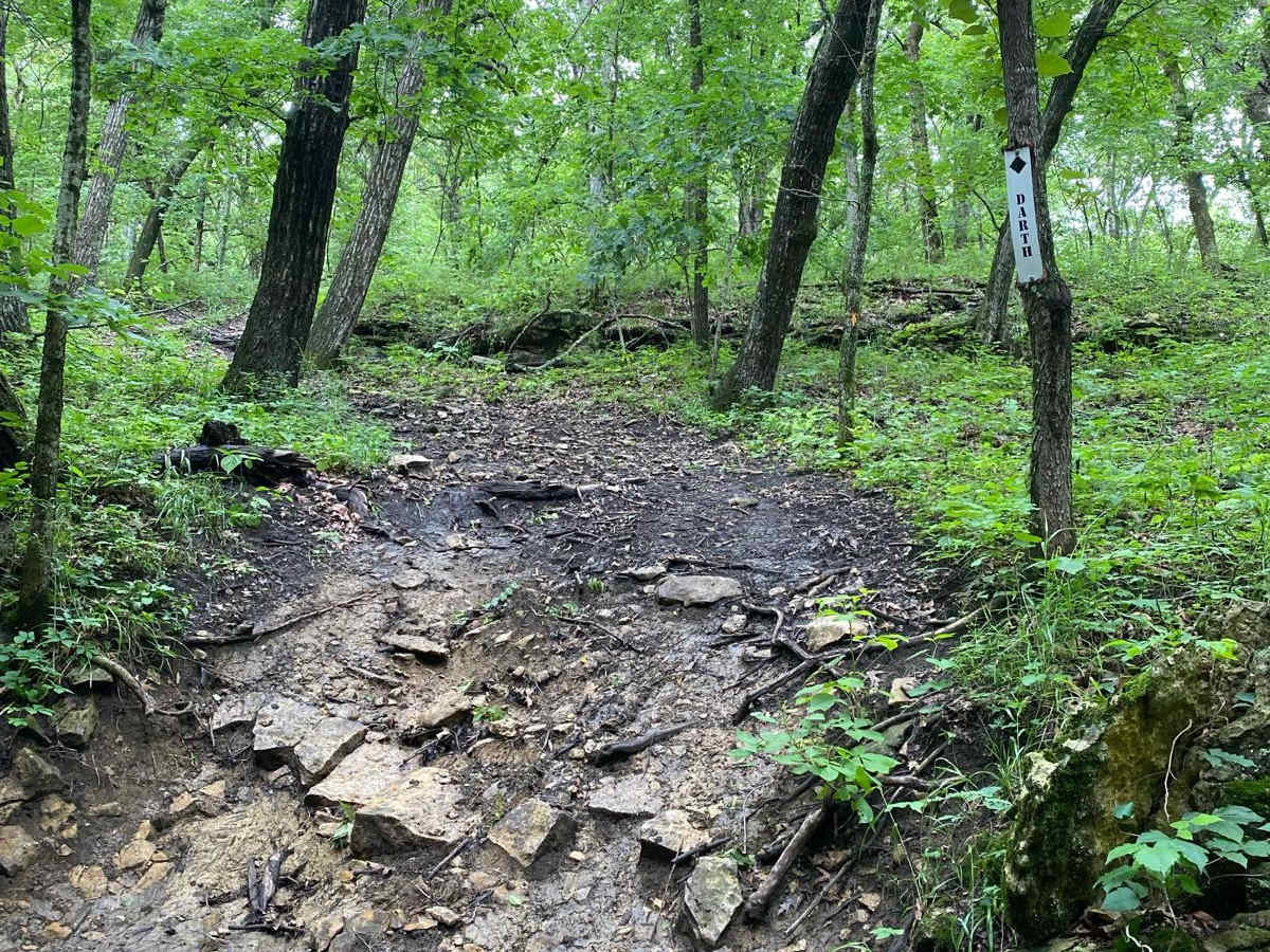 Darth trail photo