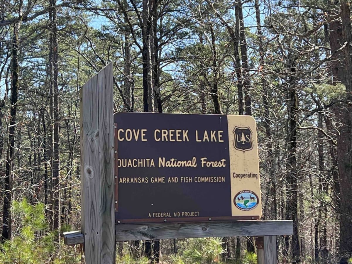 Cove Creek Lake/Link Mountain Road 210 trail photo