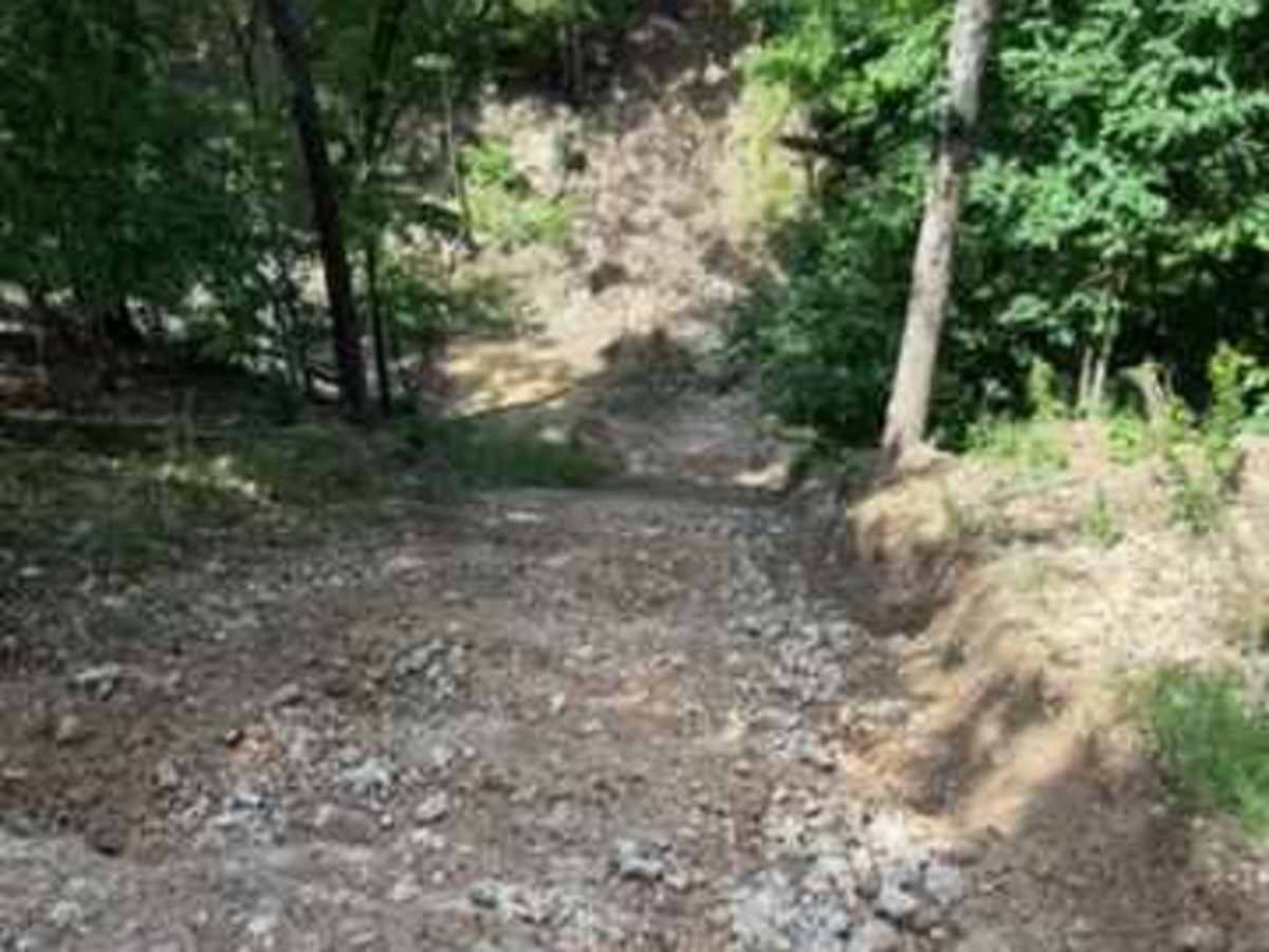 Dale's Trail photo 6