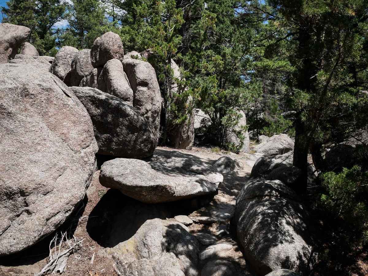 BLM 9 (Dry Creek Single Track) trail photo