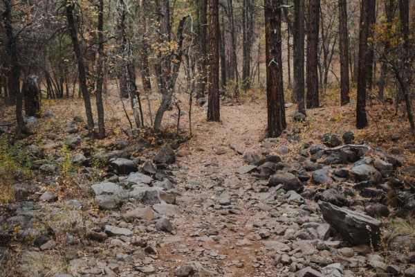 Munds Canyon