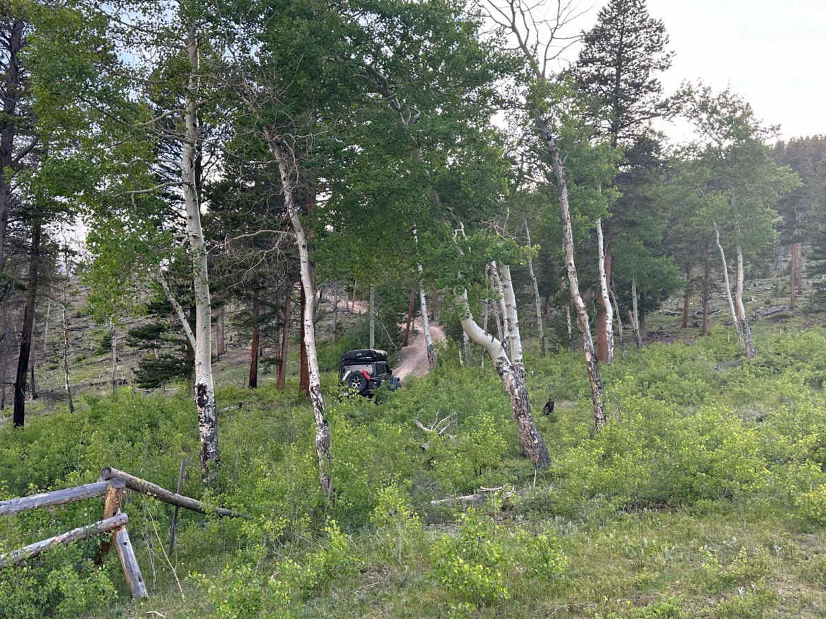 Mad Creek Road photo 6