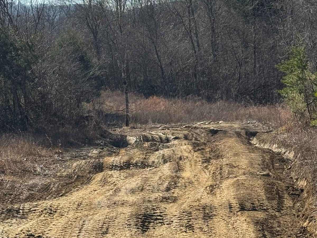 #91 Cane Creek Trail photo 4