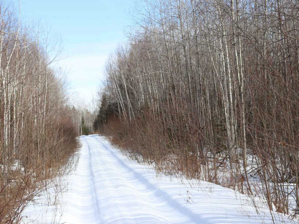 Tour Road photo 5