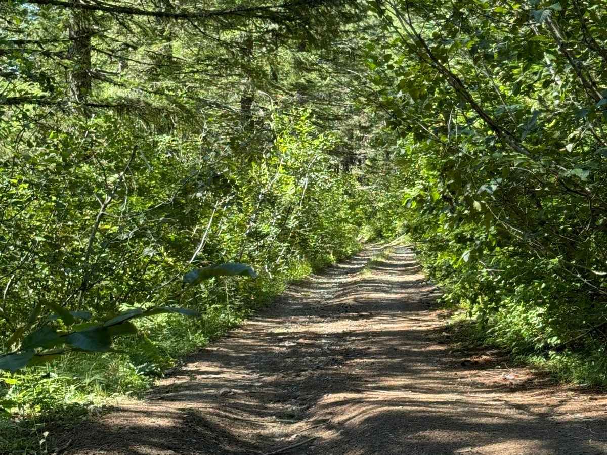 East Fork Lewis Road Connecting Trail photo 3