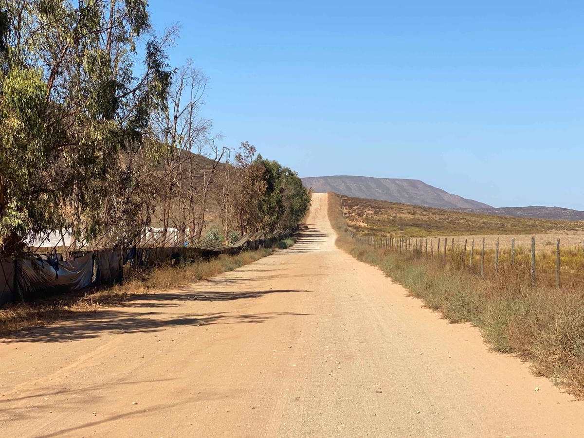 South of Cerro Blanco photo 4