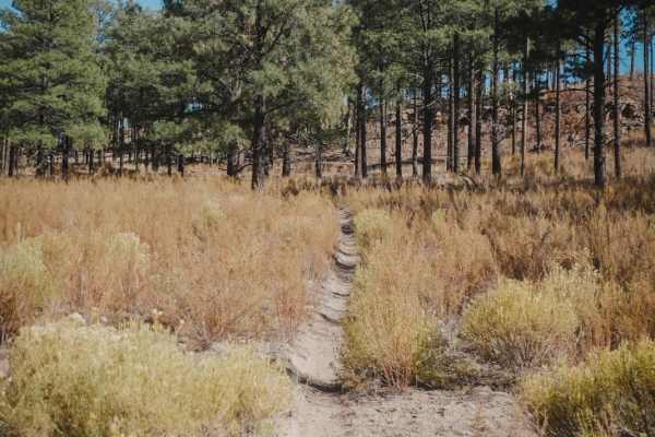 Corral Canyon