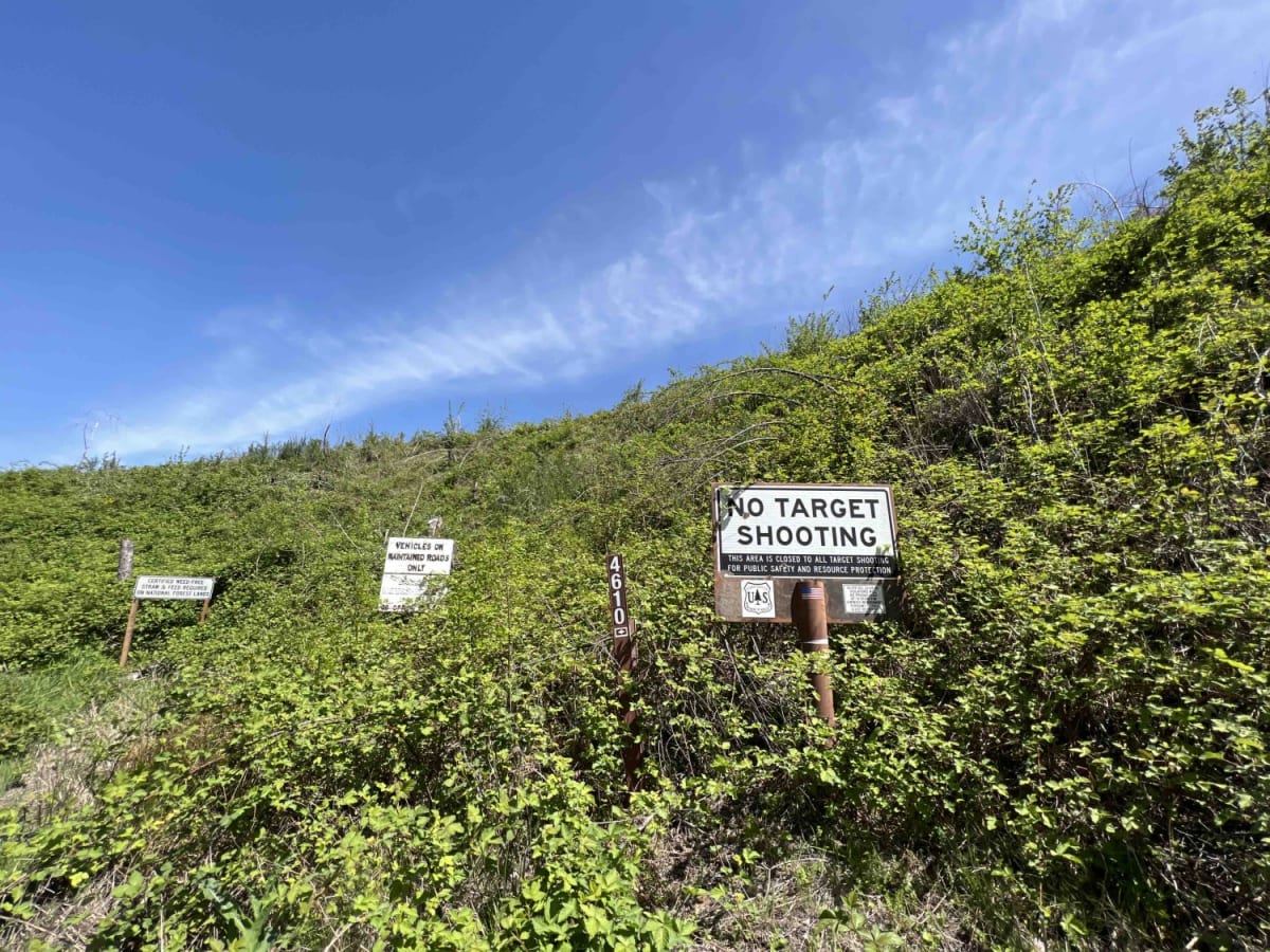 National Forest Development Road 4610 photo 3