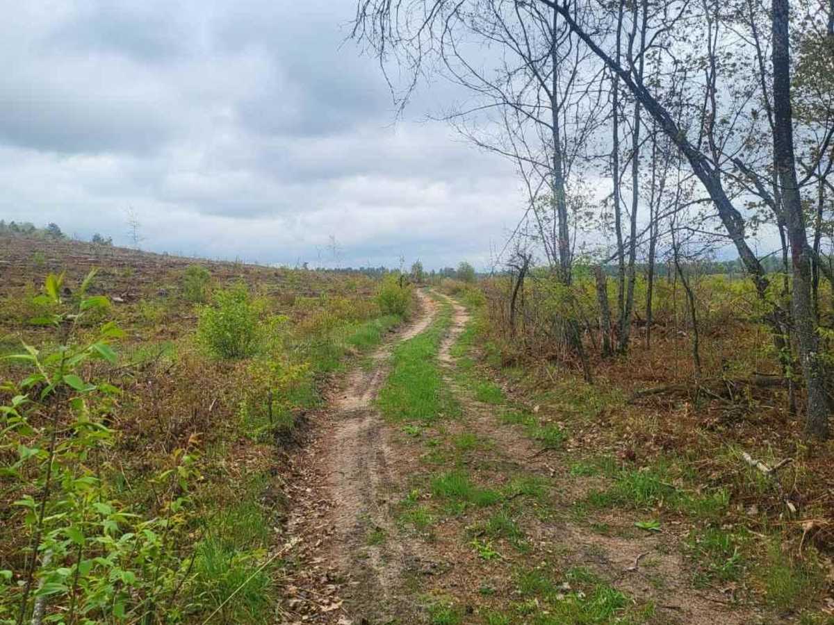 Mio ORV Route - East photo 3