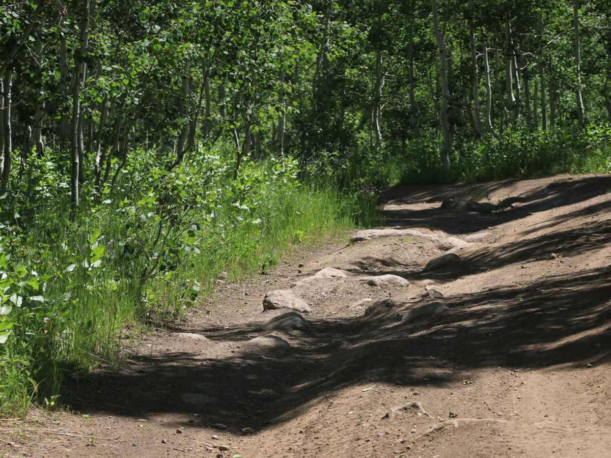 Bear Hollow - FS 70440 photo 3