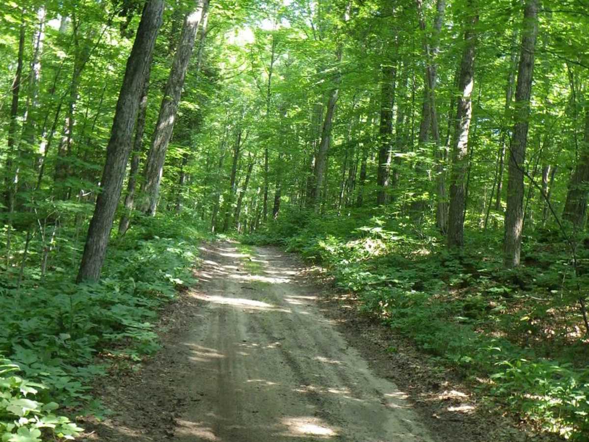 East Sawmill Route photo 4
