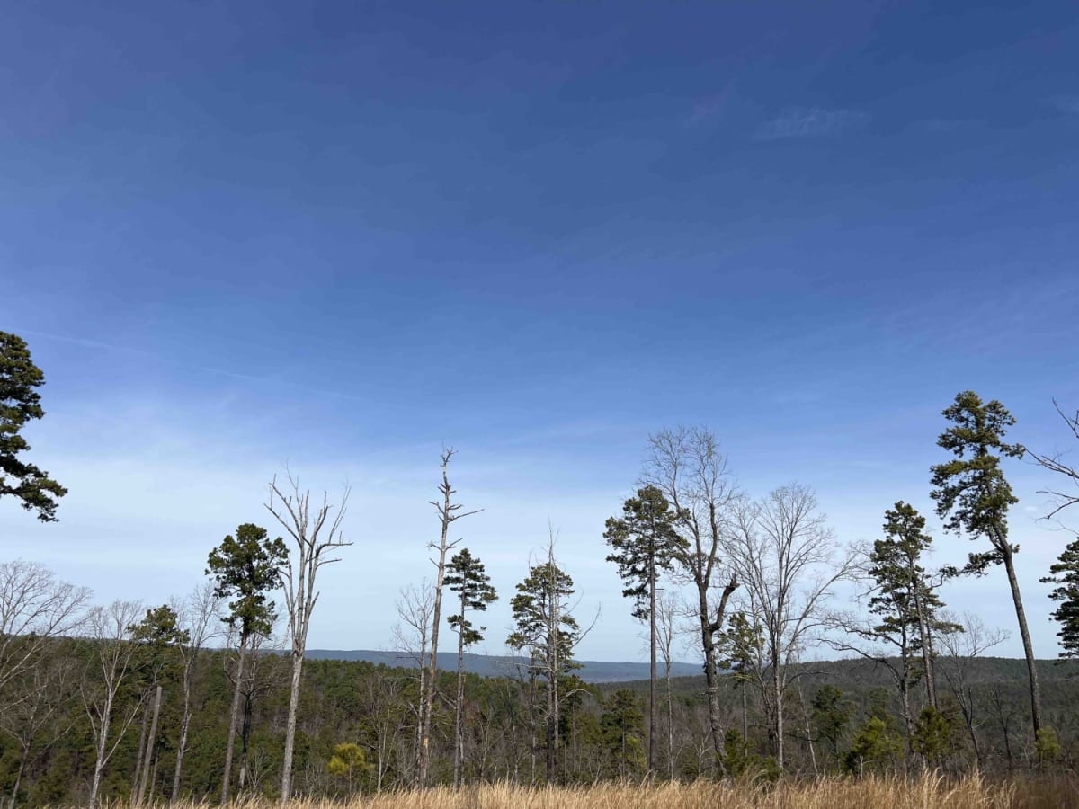 Long Mountain 76 photo 6