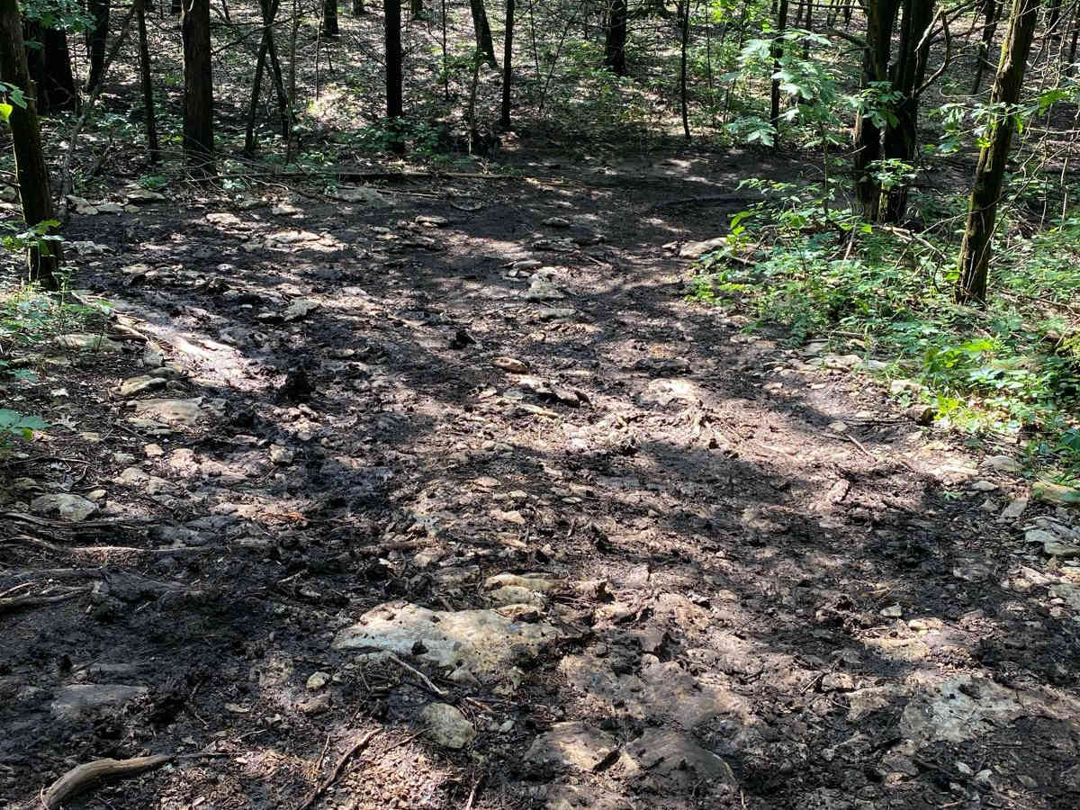 Path Finder photo 3