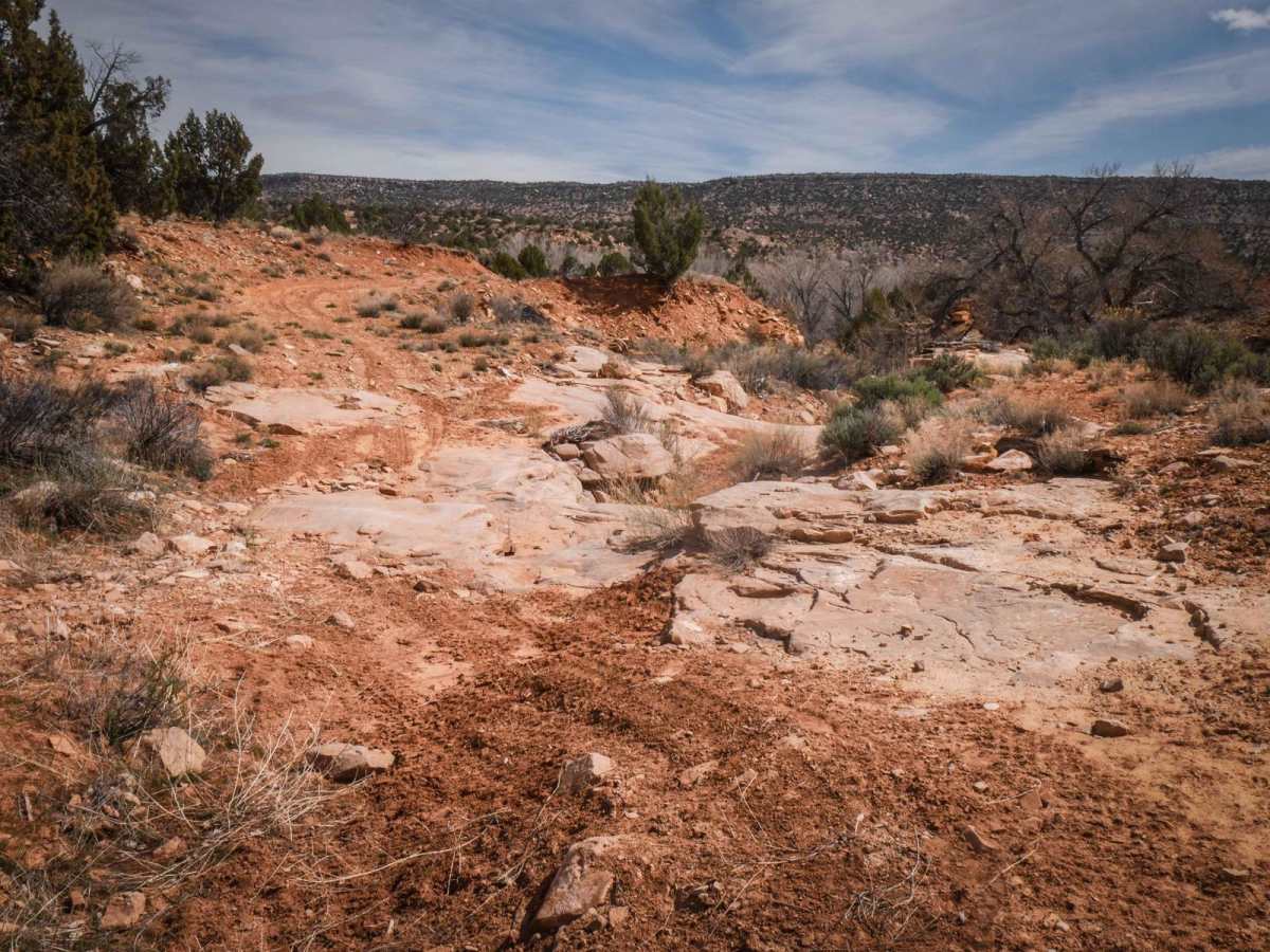 Cottonwood Creek trail photo