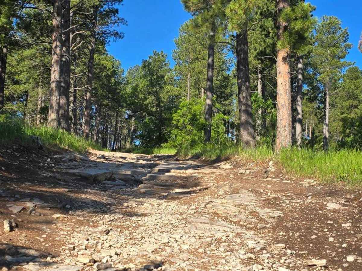 Black Hills Forest Access from Sturgis trail photo