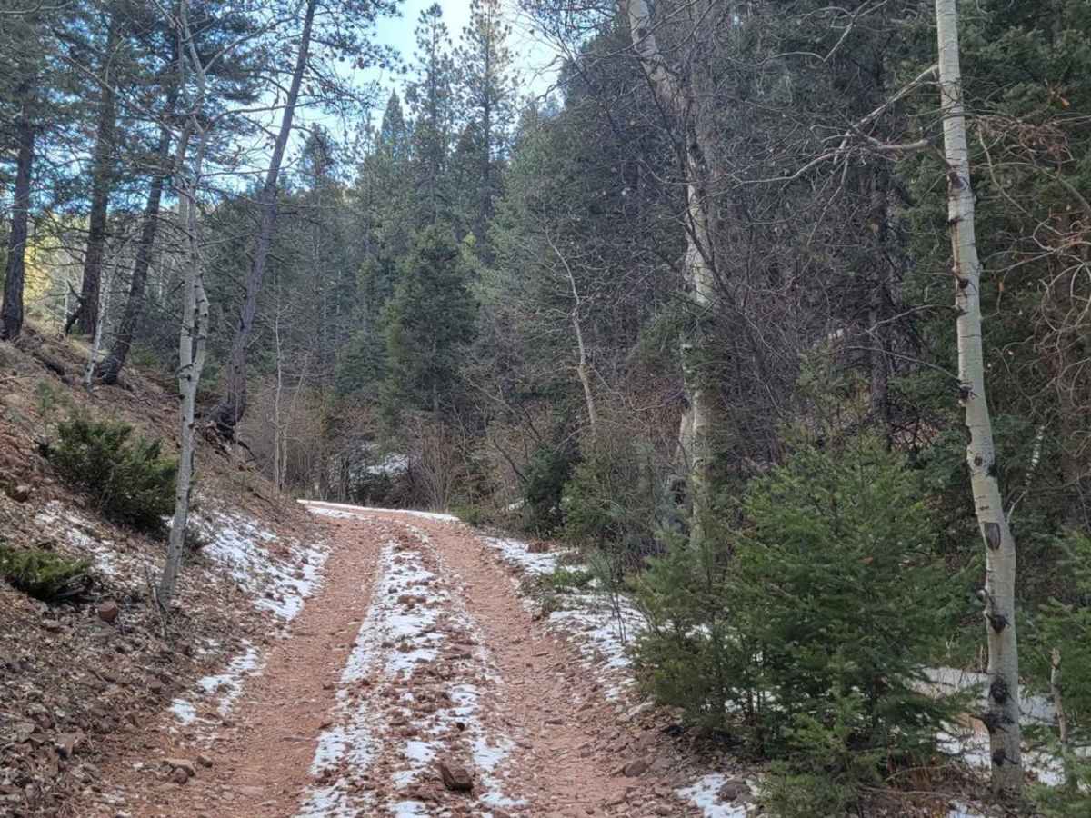 Hotel Gulch - FR 346 photo 2