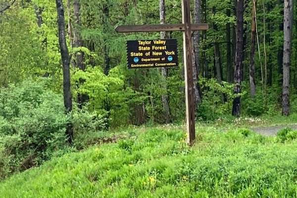 Taylor Valley State Forrest