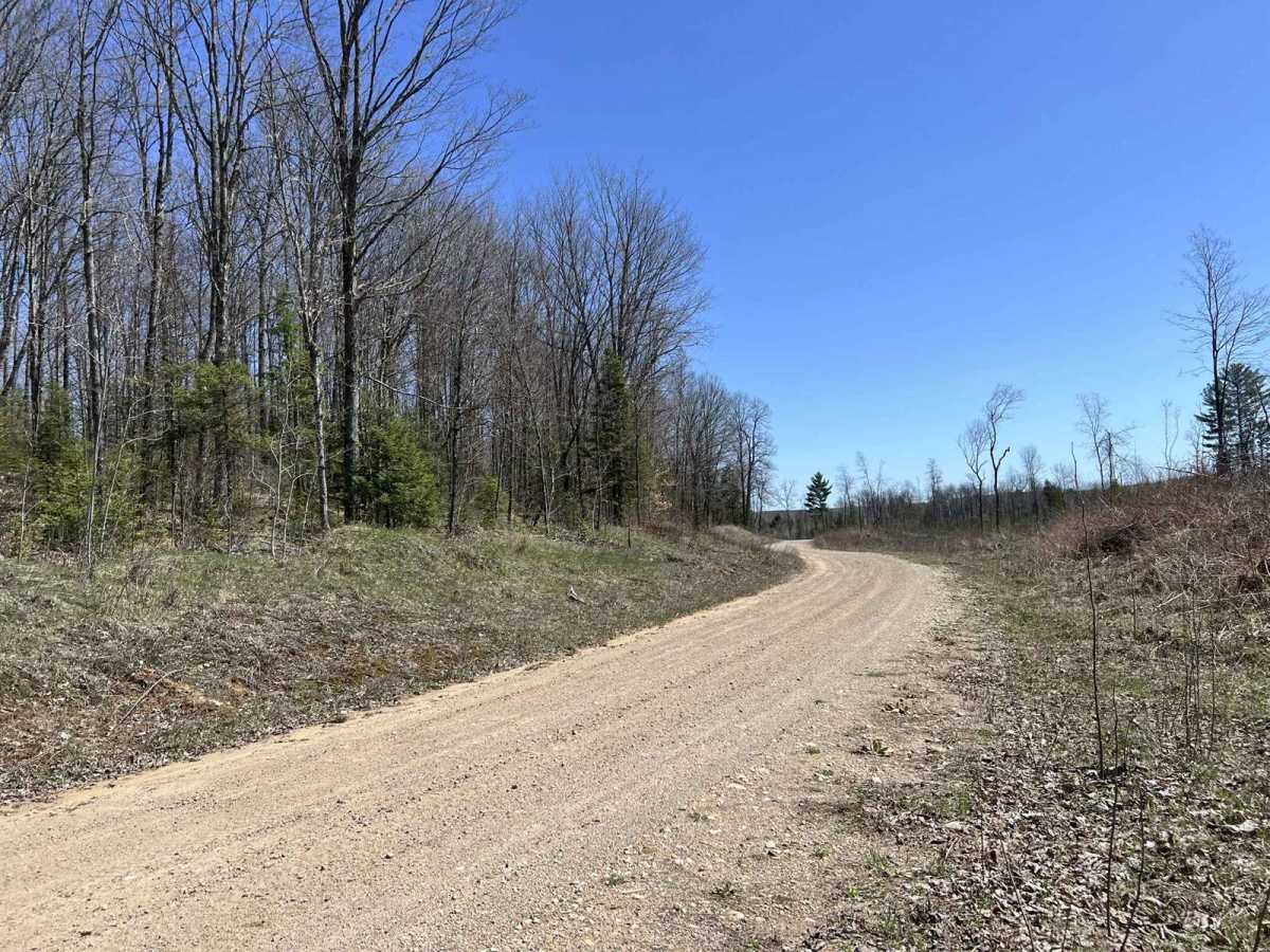 Black Creek Trail/ FR N3015 photo 5